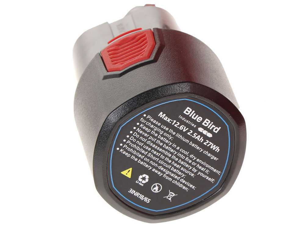 Potatore Elettrico a Batteria Blue Bird CS 22-04 – 2 Batterie 12,6V 2,5 Ah