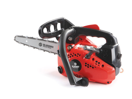 Motosega da Potatura Blue Bird CS 250 Carving
